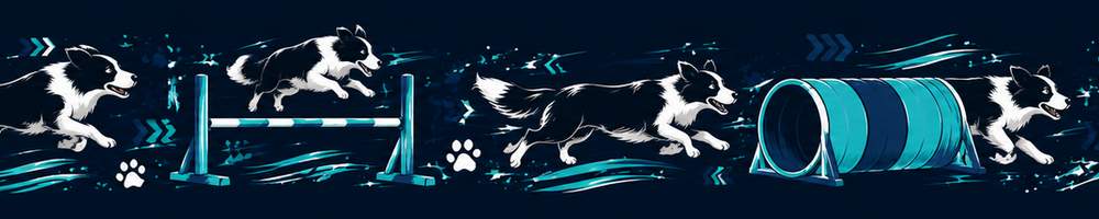 AI vzor agility motiv s border kolií v modré a tyrkysové