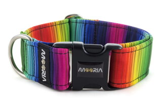 Obojek Rainbow Lines