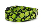 Obojek Lime