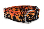 Obojek Halloween