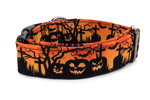 Obojek Halloween