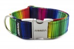 Halsband Rainbow lines mit Metallklemme