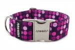 Obojek Violet Dots
