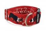 Obojek Border Collie Life Red