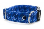 Obojek Digital Blue