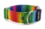 Obojek Rainbow lines