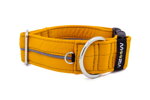 Obojek Reflex Mustard Yellow I