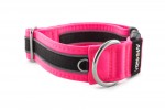 Collar Reflex Neon Pink II - Detail of D-ring