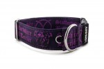Obojek Staffordshire Bull Terrier Violet