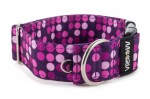 Obojek Violet Dots