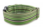 Obojek Casual Green