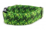 Obojek Digital Green