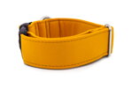 Obojek Mustard Yellow