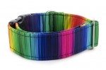 Obojek Rainbow lines
