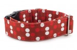Obojek Red Dots