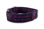 Obojek Staffordshire Bull Terrier Violet