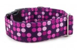 Obojek Violet Dots