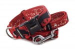 Obojek Border Collie Life Red