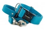 Leash Dark Cyan with the collar