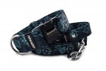 Collar Hogweed Blue with a leash