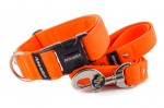 Leash Neon Orange with the collar