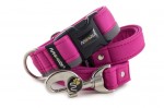 Leash Reflex Magenta with the collar