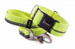 Collar Reflex Neon Yellow I with a leash