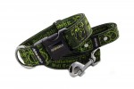 Collar Staffordshire Bull Terrier Green with a leash