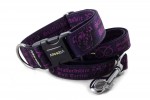 Obojek Staffordshire Bull Terrier Violet