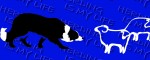 Vodítko Border Collie Life Blue