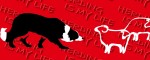 Obojek Border Collie Life Red