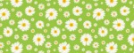 Leash Daisies - Pattern