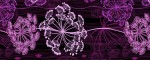 Obojek Hogweed Purple