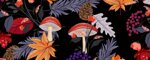 Obojek Mushrooms