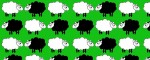 Obojek Sheep Dream Green