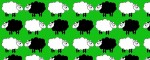 Obojek Sheep Dream Green - Vzor