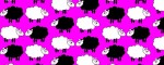 Obojek Sheep Dream Pink - Vzor