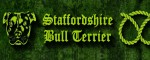 Obojek Staffordshire Bull Terrier Green - Vzor
