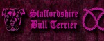 Obojek Staffordshire Bull Terrier Pink - Vzor