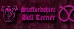 Obojek Staffordshire Bull Terrier Pink