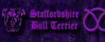 Obojek Staffordshire Bull Terrier Violet - Vzor