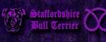 Obojek Staffordshire Bull Terrier Violet