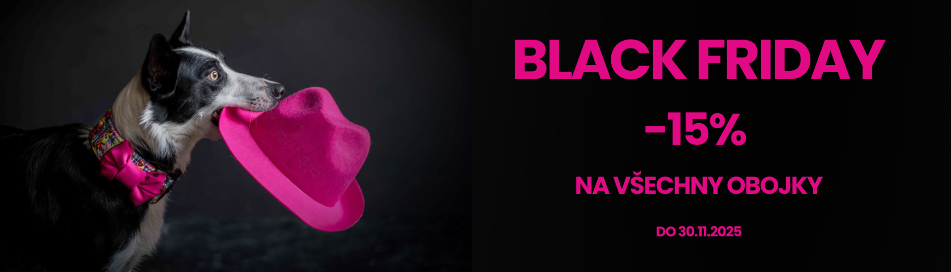 Black Friday 2025