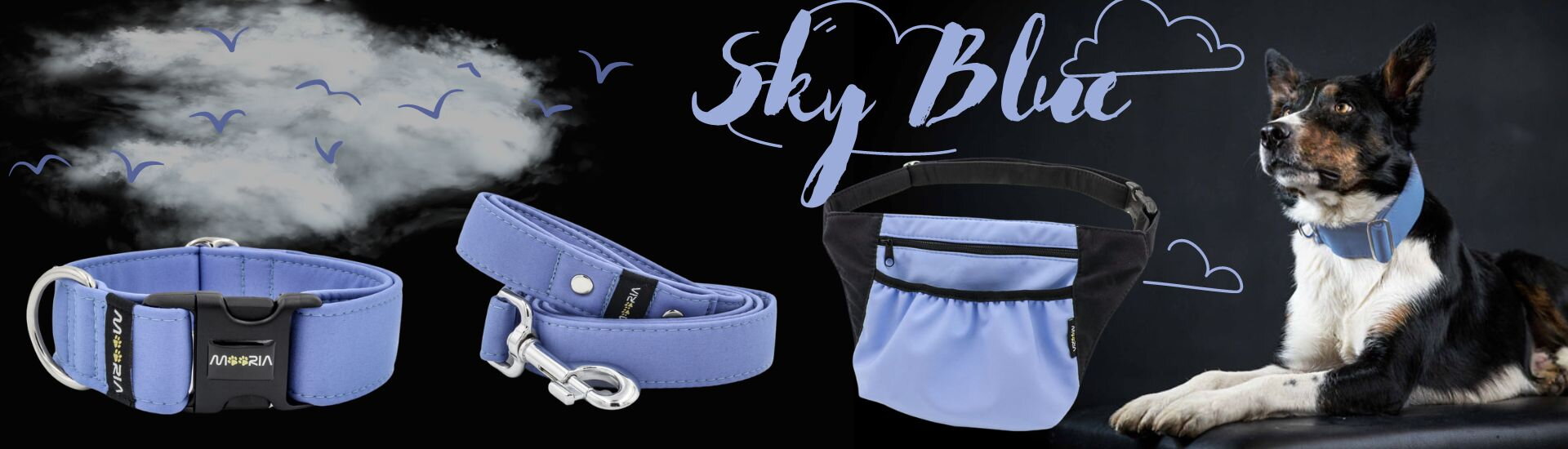 Obojek Sky Blue