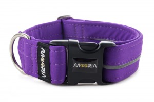 Collar Reflex Fuchsia Violet I