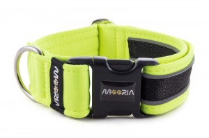 Collar Reflex Neon Yellow II