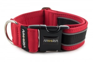 Collar Reflex Royal Red II