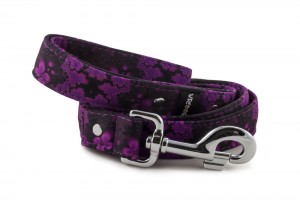 Leash Abstract Purple