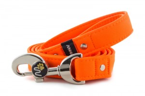 Leash Neon Orange