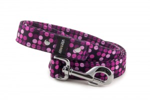 Leash Violet Dots